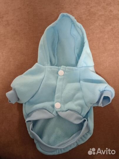 Одежда для собаки, кошки