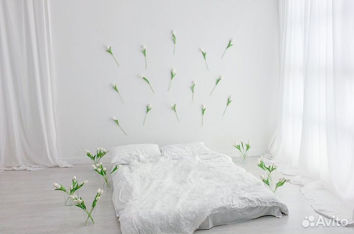 Аренда фотостудии Щёлково