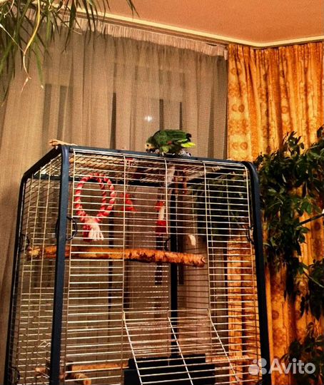 Клетка для крупного попугая или другого животного