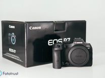 Canon EOS R7 Body новый