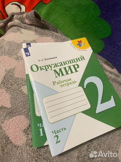 Рабочая тетрадь 2 класс Окружающий мир