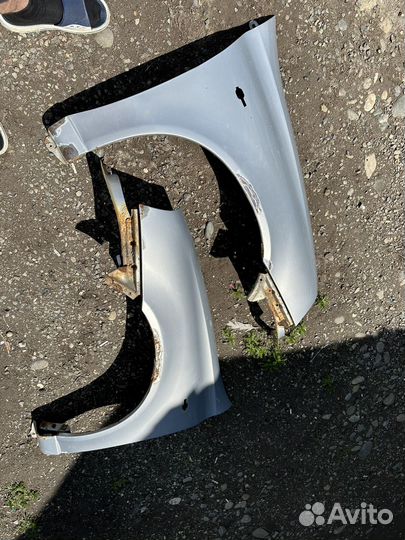 Крылья калина передние