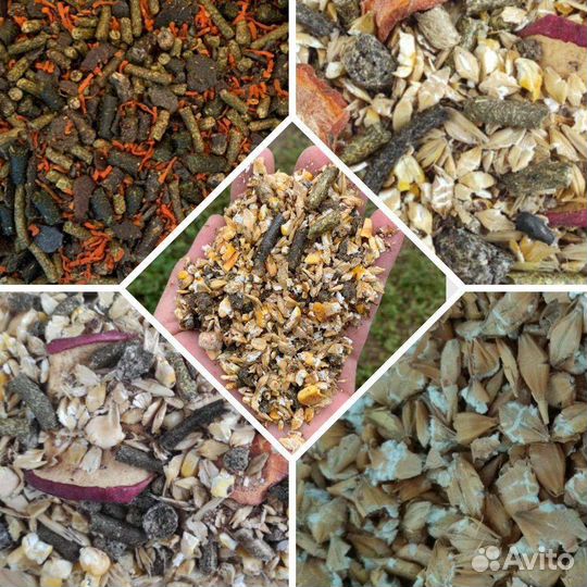 Мюсли для лошадей