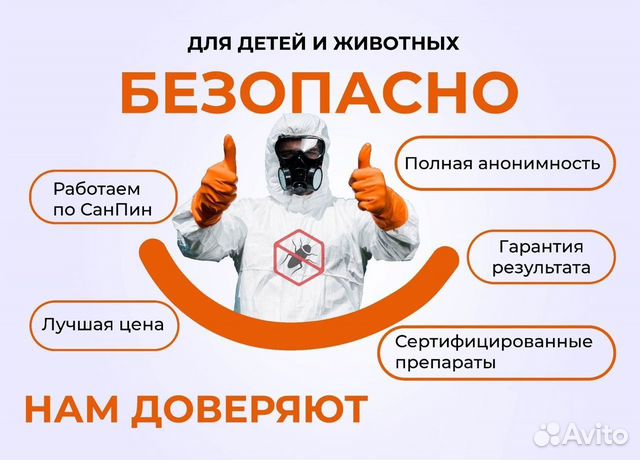 Дезинфекция / Уничтожение клопов / Дезинсекция в Санкт-Петербурге ...