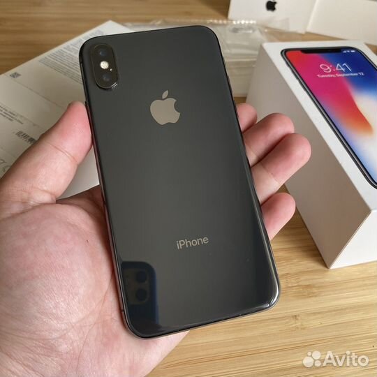 iPhone X, 256 ГБ