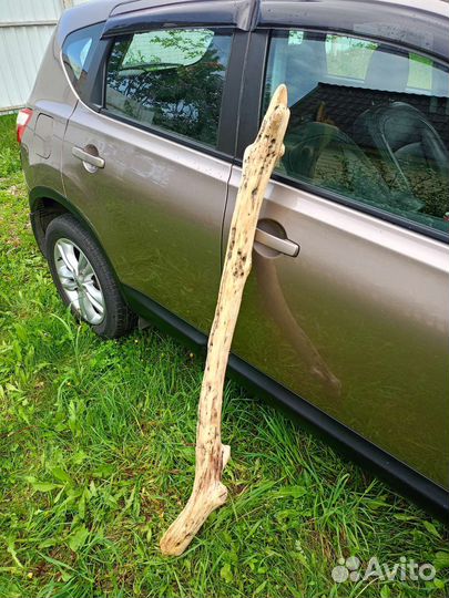 Коряга дрифтвуд топляк 142