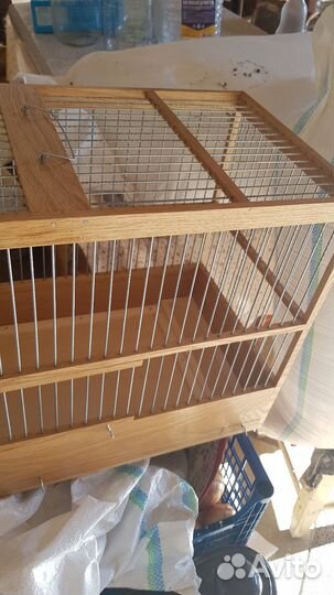 Клетка для птиц