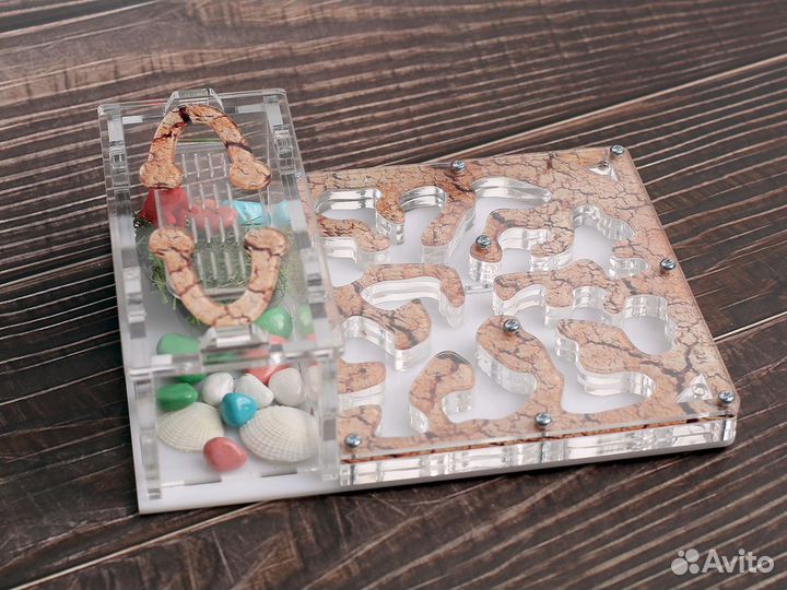 Муравьиная ферма с муравьями в Иваново