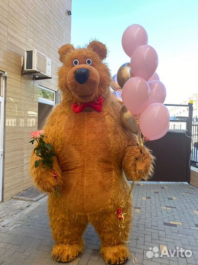 Бурый мишка маша и медведь аниматор
