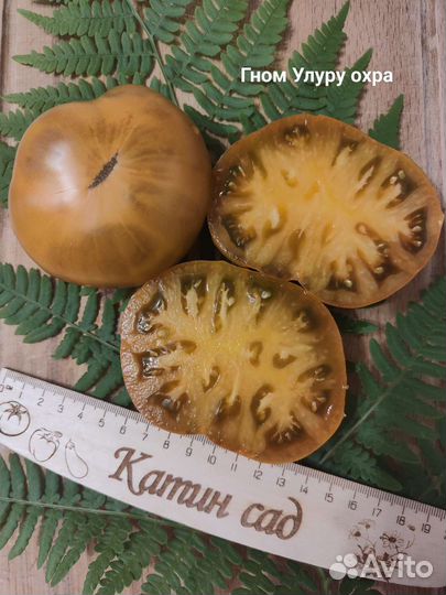 Семена коллекционных сортов томатов (помидоров)