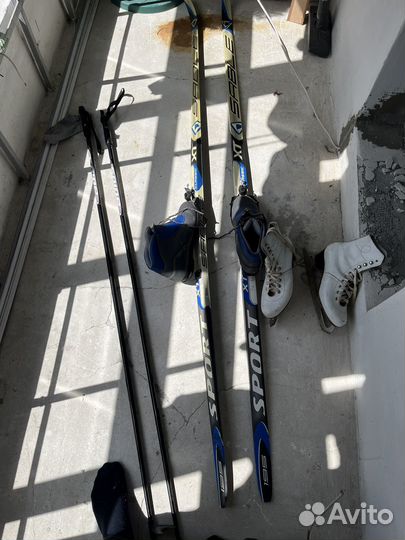 Беговые лыжи