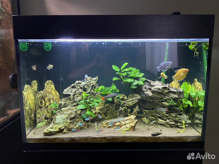 Аквариум 100 литров с тумбой