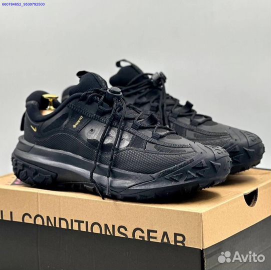 Кроссовки Nike ACG Mountain FLY 2LOW