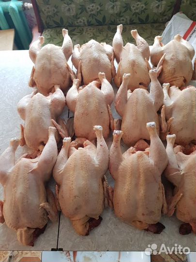 Мясо курицы