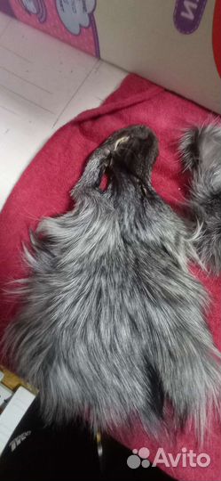 Чернобурка лиса обрезь