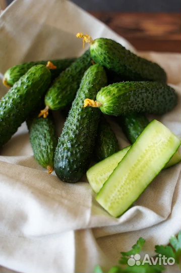 Огурцы свежие