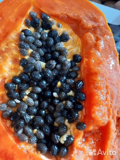 Экзотические семена и саженцы