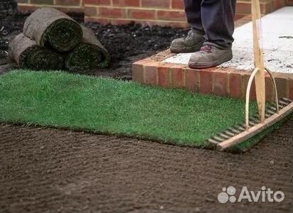 Рулонный газон