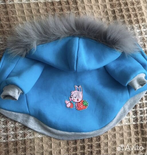 Одежда для собак