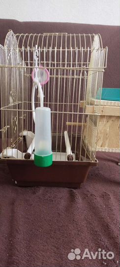 Клетка для попугая