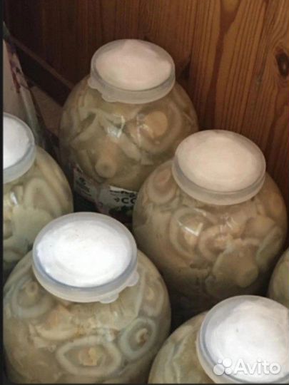 Грибы белые грузди соленые