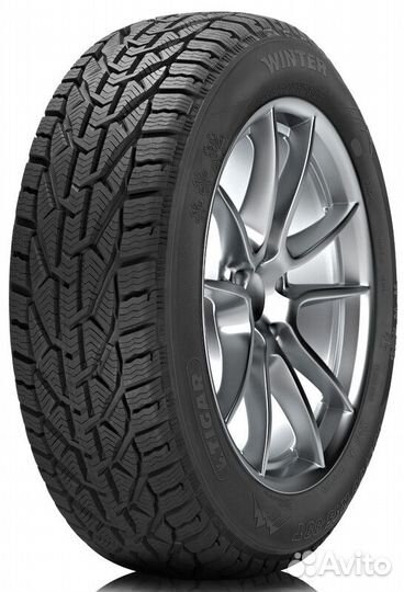 Tigar Winter 205/55 R17 95V