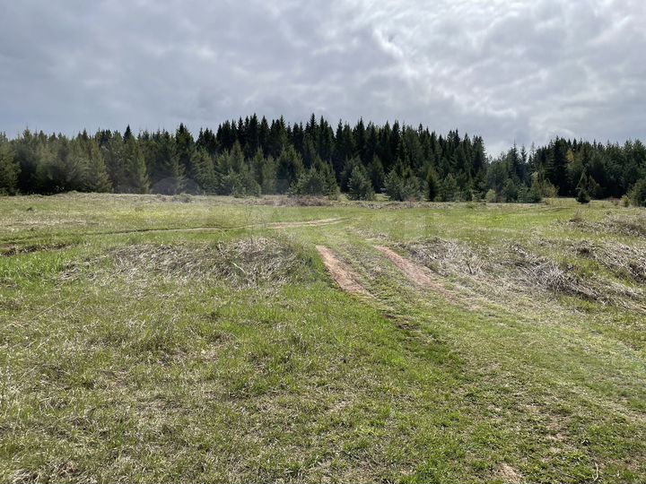 Участок 4,2 га (СНТ, ДНП)