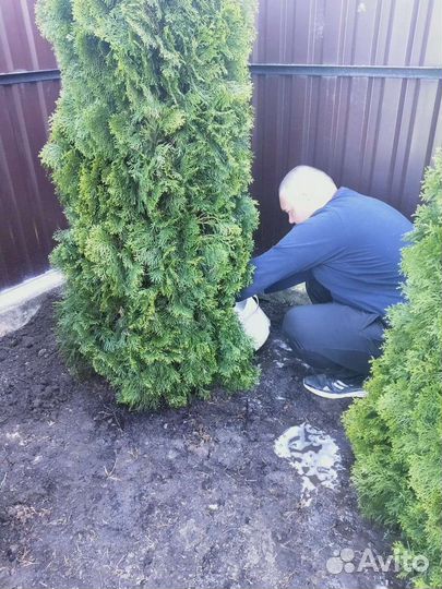 Благоустройство