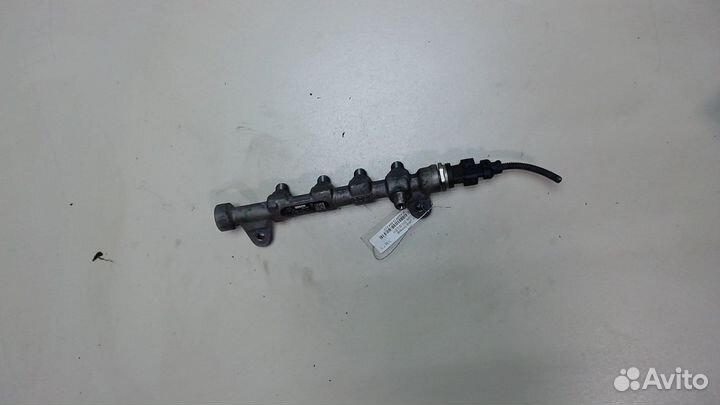 Рампа топливная Fiat Doblo, 2011