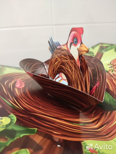 Книга Кто где живёт