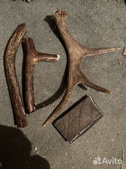 Рожки для пёселя