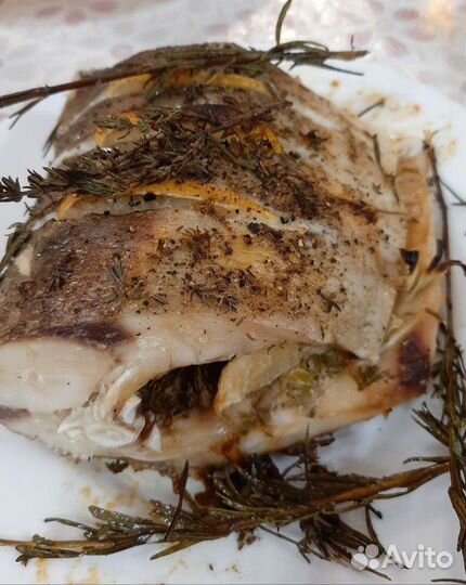 Свежемороженая рыба толстолобик