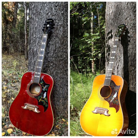 Гитары из Японии на любой вкус