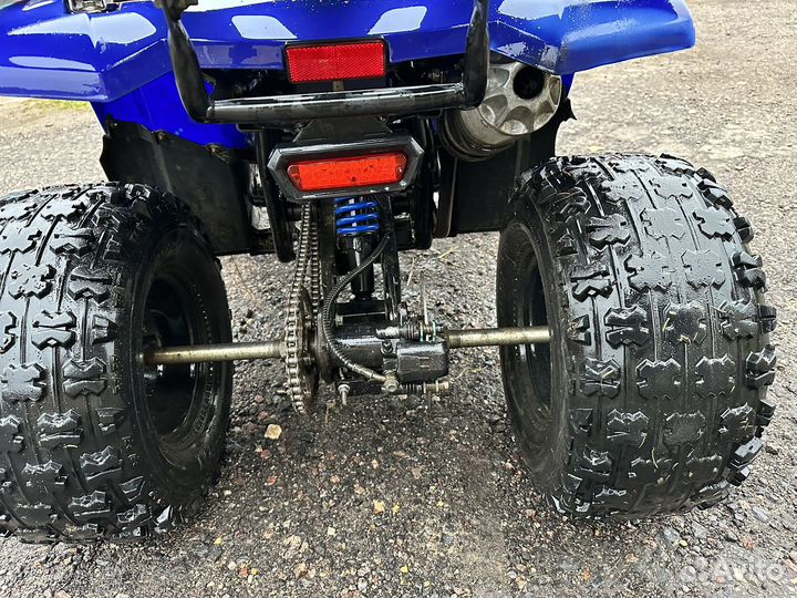 Avantis Hunter 125 LUX