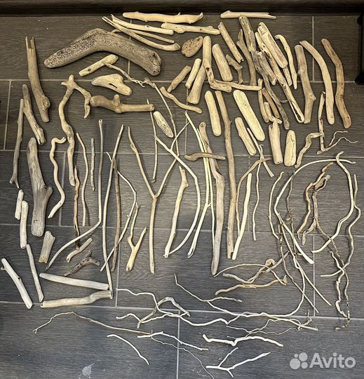 Дрифтвуд морские палки коряги