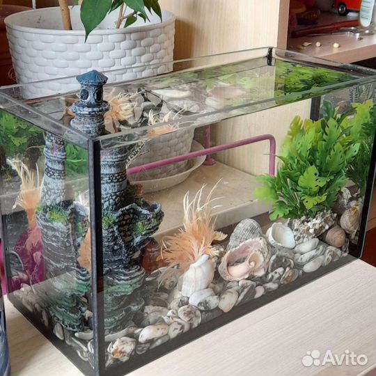 Аквариум 7 литров, урашения,корм и жидкостьдляводы