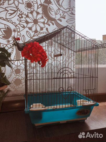Клетка для птиц