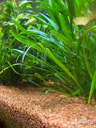 Аквариум Eheim Vivaline 180 литров