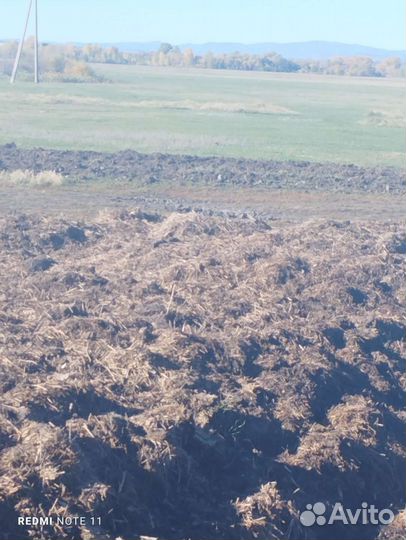 Назём бесплатно