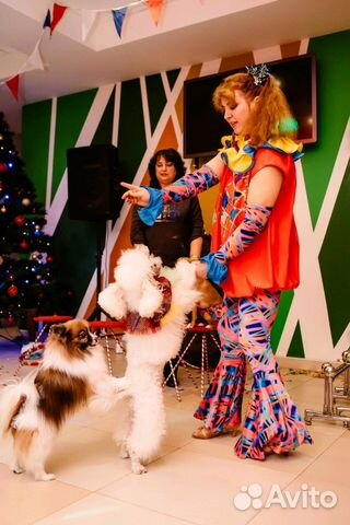 Дрессированные животные на праздник в Москве