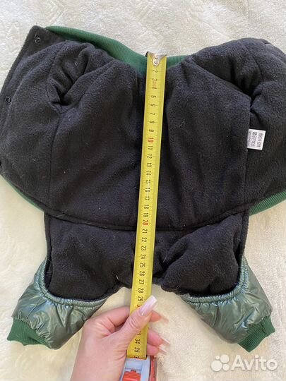 Одежда для собак мелких пород