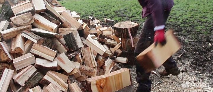 Дрова в день заказа