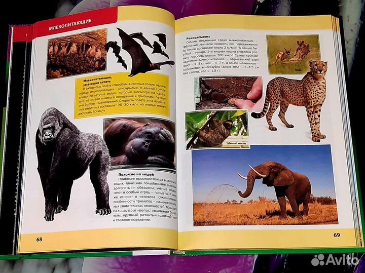 Большая энциклопедия обо всём на свете