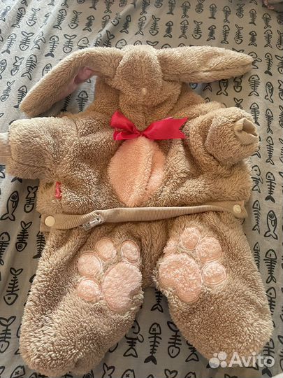 Костюм для маленькой собаки