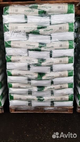 Семена подсолнечника гибрид Спринт