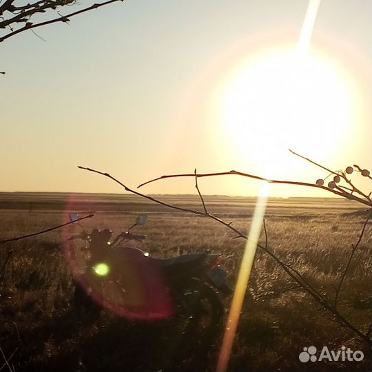 Racer tiger rc150-23