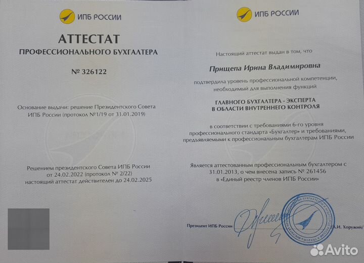 Профессиональный бухгалтер