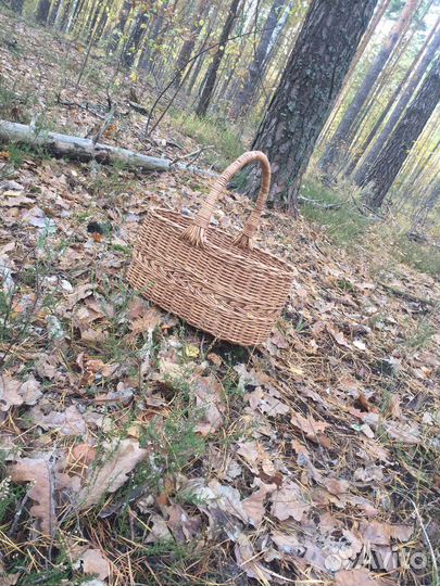 Корзина для грибов