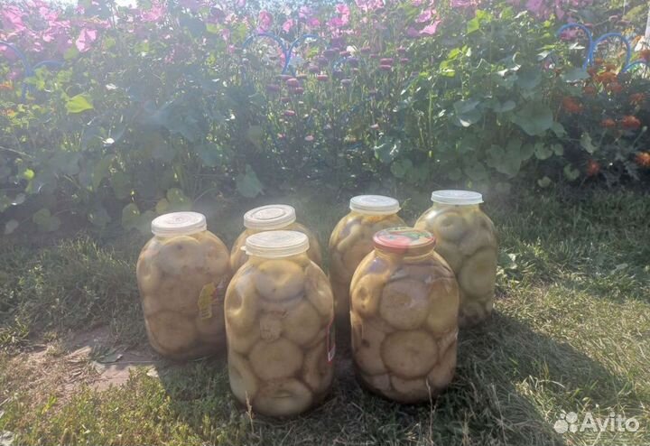 Грибы маринованные
