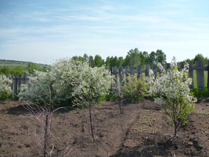 Участок 8,1 сот. (СНТ, ДНП)